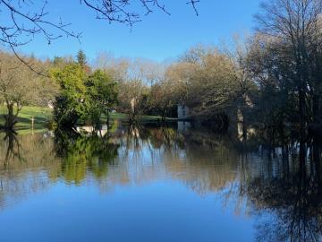 IMG_5029-LE-BIEN-VUE-1-ETANG-2
