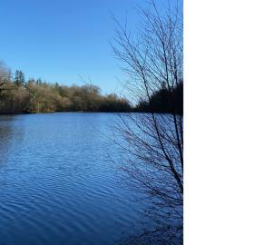 16371ETANG-2