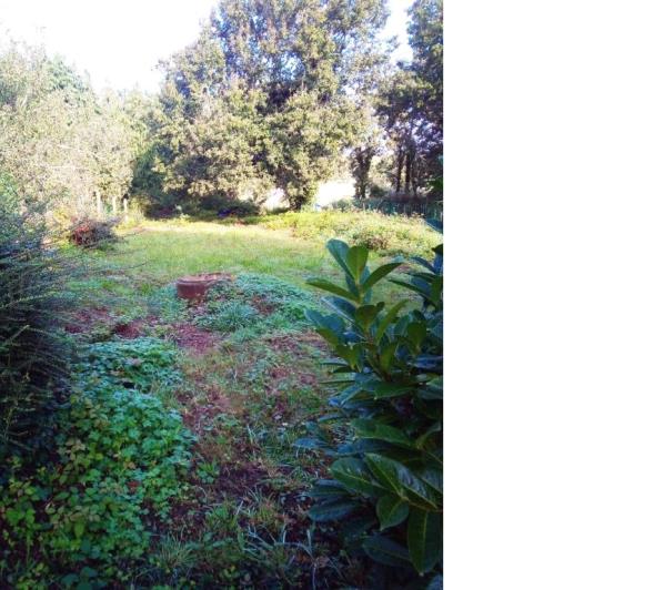 Image No.26-Maison de 3 chambres à vendre à Ploërdut