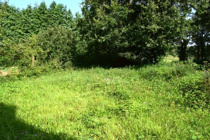 Image No.5-Maison de 3 chambres à vendre à Ploërdut