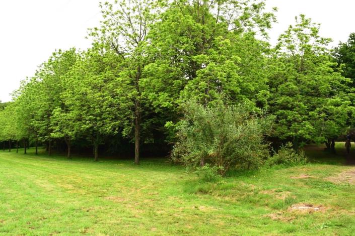 Image No.41-6 Bed House for sale