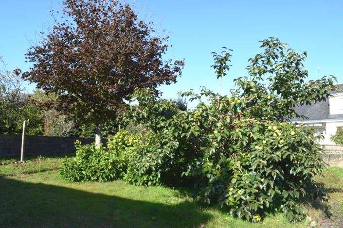 Image No.2-Maison de 3 chambres à vendre à Lignol