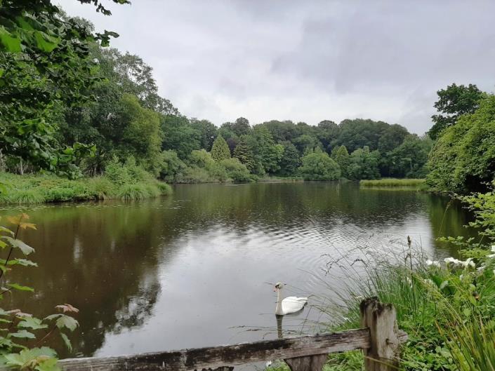 Image No.3-Maison de 6 chambres à vendre à Meslan