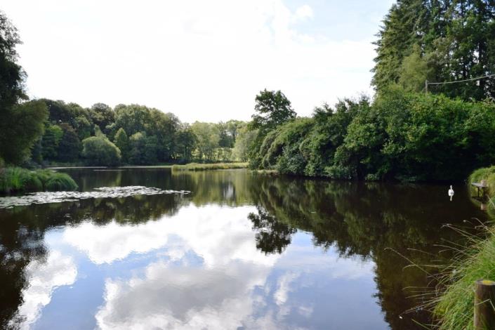 Image No.36-Maison de 6 chambres à vendre à Meslan