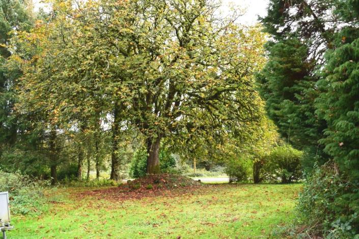 Image No.6-4 Bed House for sale