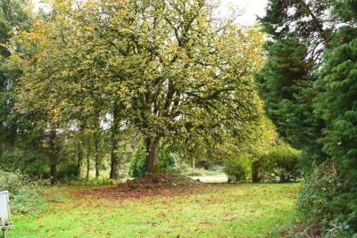 DSC_9756-JARDIN