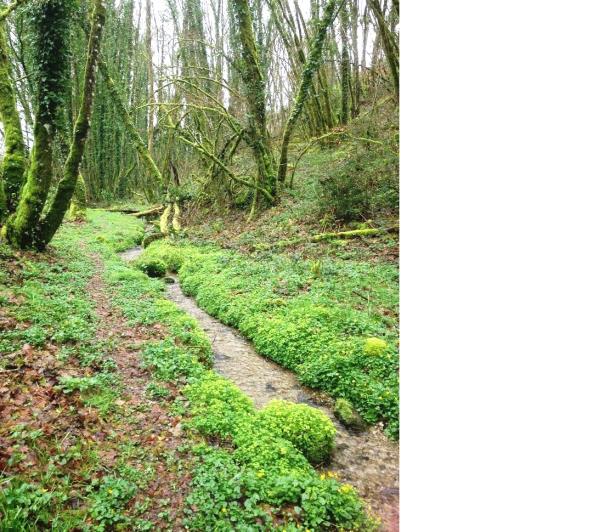 Image No.5-4 Bed House for sale