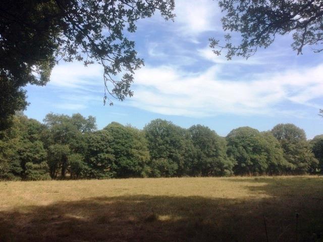 Image No.4-Maison de 3 chambres à vendre à Plouray