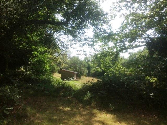 Image No.25-Maison de 3 chambres à vendre à Plouray