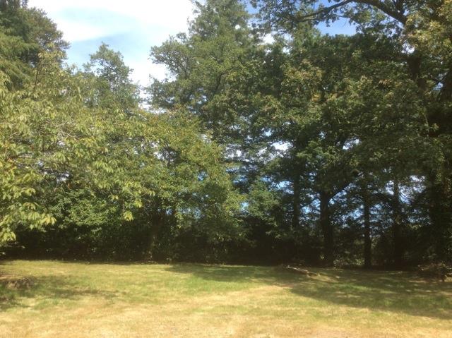 Image No.28-Maison de 3 chambres à vendre à Plouray