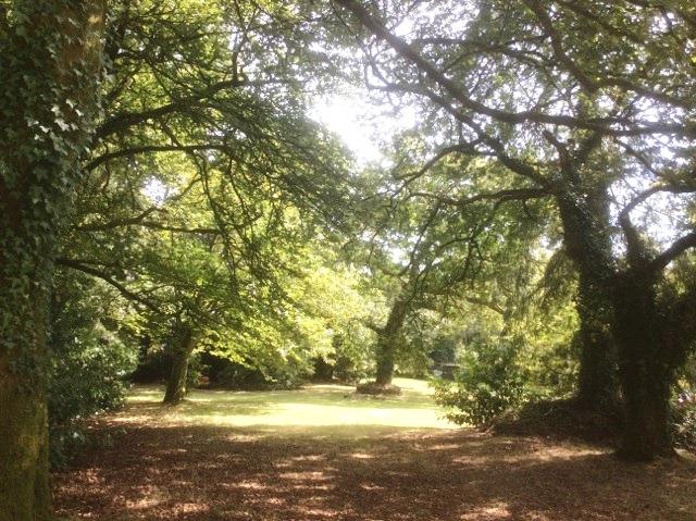 Image No.29-Maison de 3 chambres à vendre à Plouray