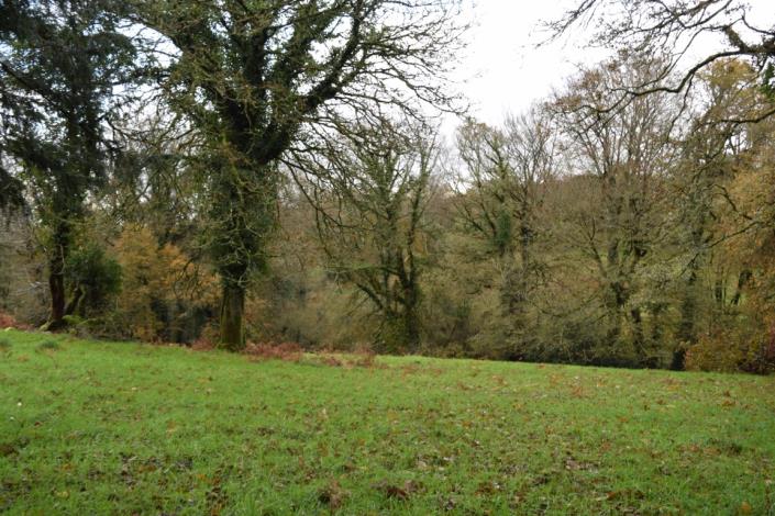 Image No.30-Maison de 3 chambres à vendre à Plouray