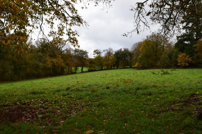 Image No.31-Maison de 3 chambres à vendre à Plouray