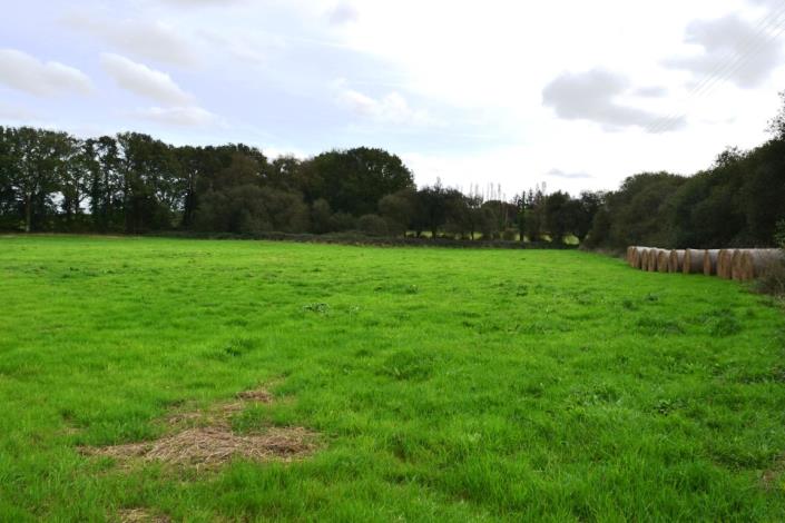 Image No.3-Maison de 4 chambres à vendre à Merleac