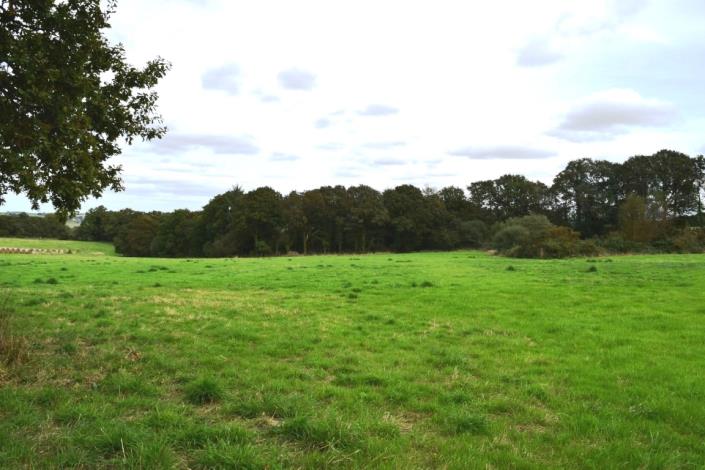 Image No.4-Maison de 4 chambres à vendre à Merleac