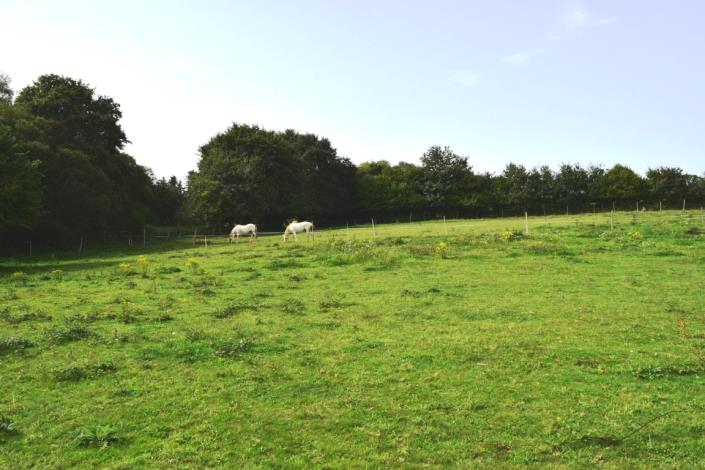 Image No.34-Maison de 5 chambres à vendre à Lignol