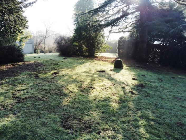 Image No.3-4 Bed House for sale