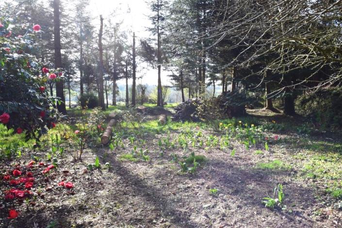 Image No.33-Maison de 4 chambres à vendre à Spézet