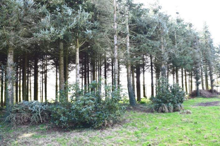 Image No.36-Maison de 4 chambres à vendre à Spézet