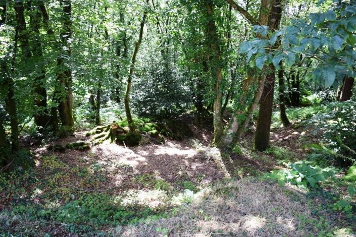 Image No.30-Maison de 4 chambres à vendre à L'Hermitage-Lorge