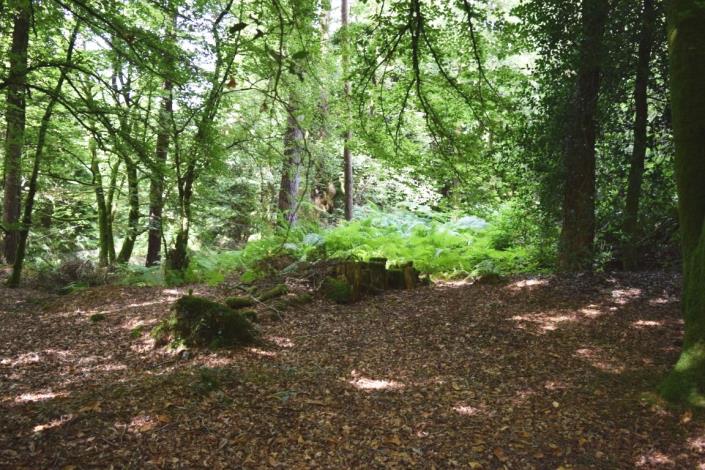 Image No.31-Maison de 4 chambres à vendre à L'Hermitage-Lorge