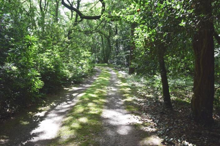 Image No.32-Maison de 4 chambres à vendre à L'Hermitage-Lorge