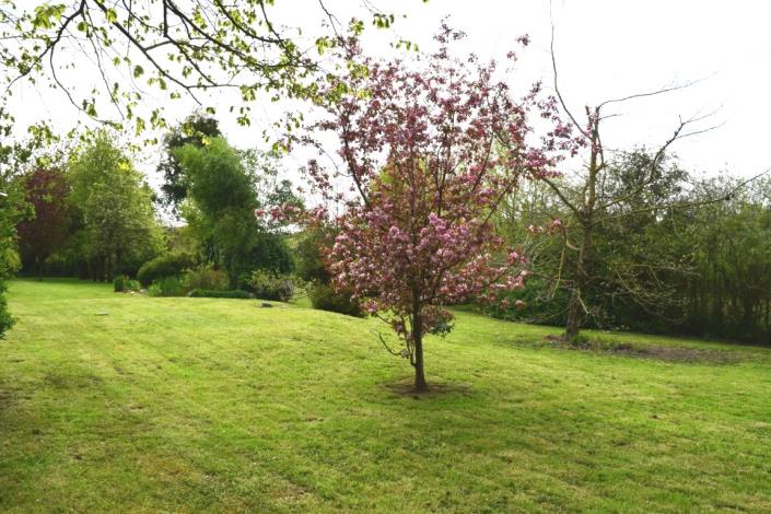 Image No.3-Maison de 3 chambres à vendre à Glomel