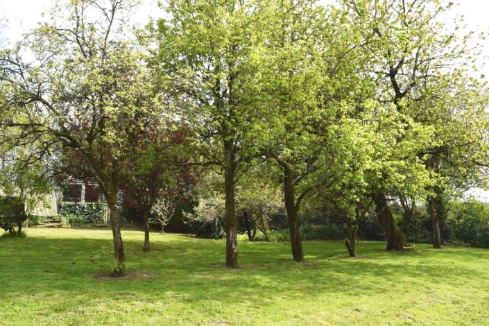 Image No.27-Maison de 3 chambres à vendre à Glomel