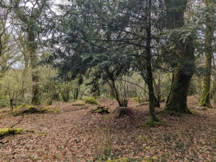 Image No.37-Maison de 11 chambres à vendre à Locarn