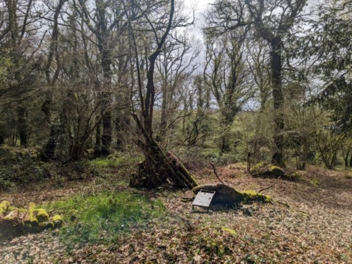 Image No.38-Maison de 11 chambres à vendre à Locarn