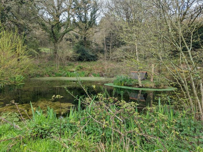 Image No.36-Maison de 11 chambres à vendre à Locarn