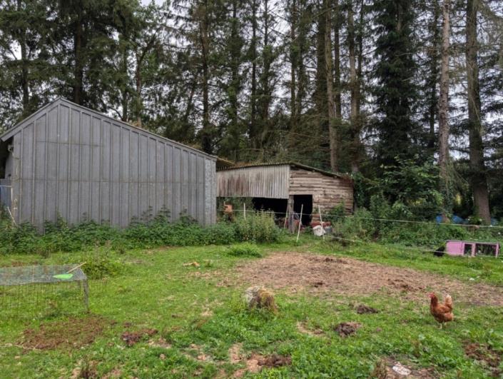 Image No.20-Maison de 5 chambres à vendre à Saint-Connan