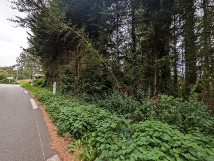 Image No.24-Maison de 5 chambres à vendre à Saint-Connan