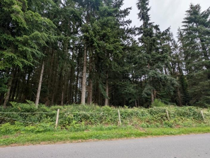 Image No.25-Maison de 5 chambres à vendre à Saint-Connan