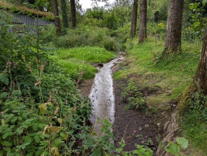 Image No.27-Maison de 5 chambres à vendre à Saint-Connan