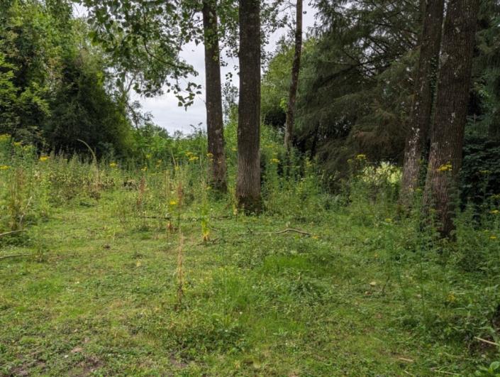 Image No.28-Maison de 5 chambres à vendre à Saint-Connan