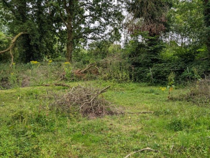 Image No.29-Maison de 5 chambres à vendre à Saint-Connan