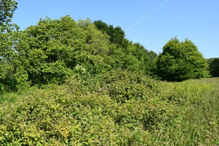 Image No.3-Land for sale