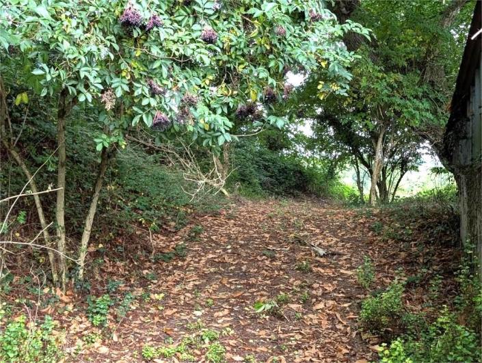 Image No.17-Maison de 4 chambres à vendre à Locarn