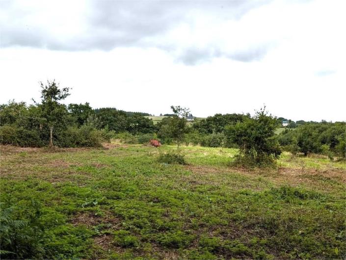 Image No.37-Maison de 4 chambres à vendre à Locarn