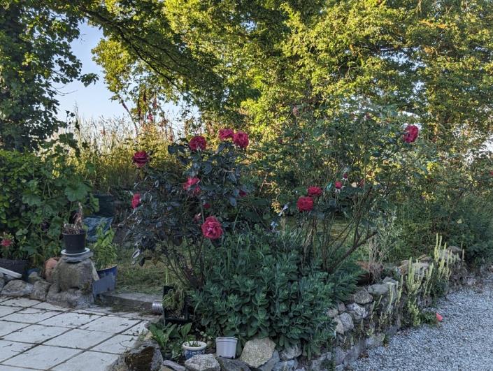 Image No.38-2 Bed House for sale