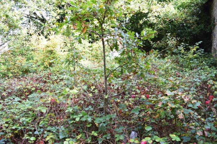 Image No.7-House for sale