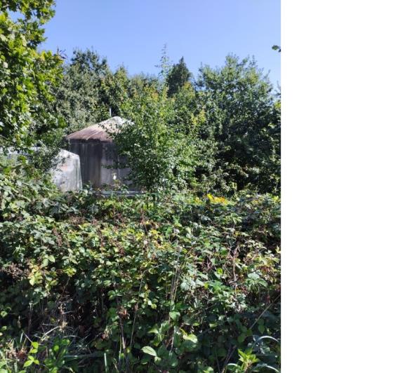 Image No.11-1 Bed House for sale