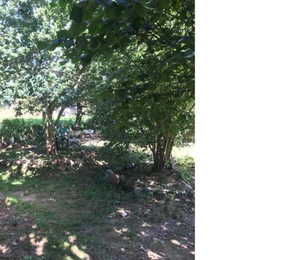 Image No.15-1 Bed House for sale