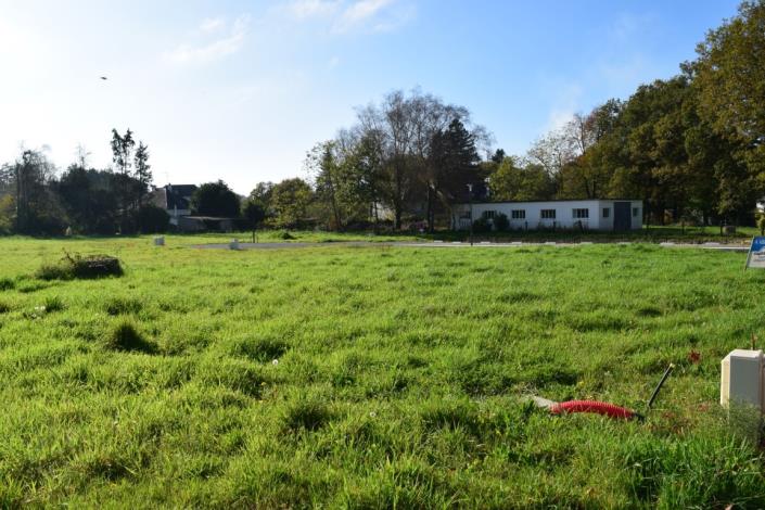 Image No.4-Terre à vendre à Lignol