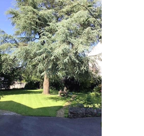 Image No.32-Maison de 4 chambres à vendre à Carhaix-Plouguer