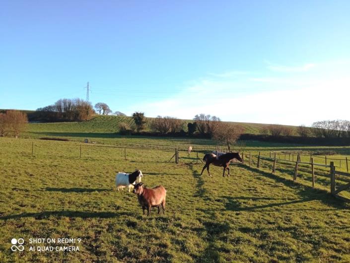 Image No.10-Maison de 4 chambres à vendre à Merleac