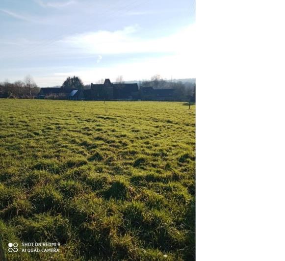 Image No.37-Maison de 4 chambres à vendre à Merleac