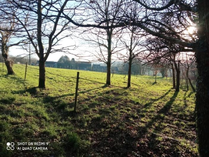 Image No.38-Maison de 4 chambres à vendre à Merleac