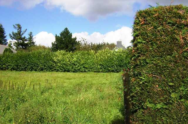 Image No.3-Land for sale